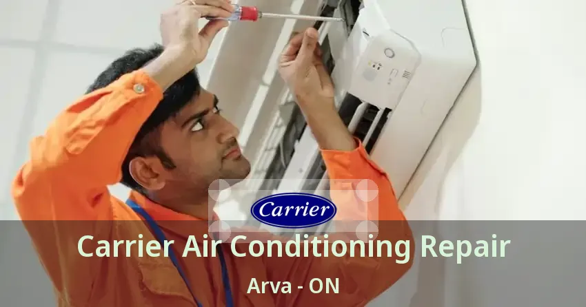 Carrier Air Conditioning Repair Arva - ON