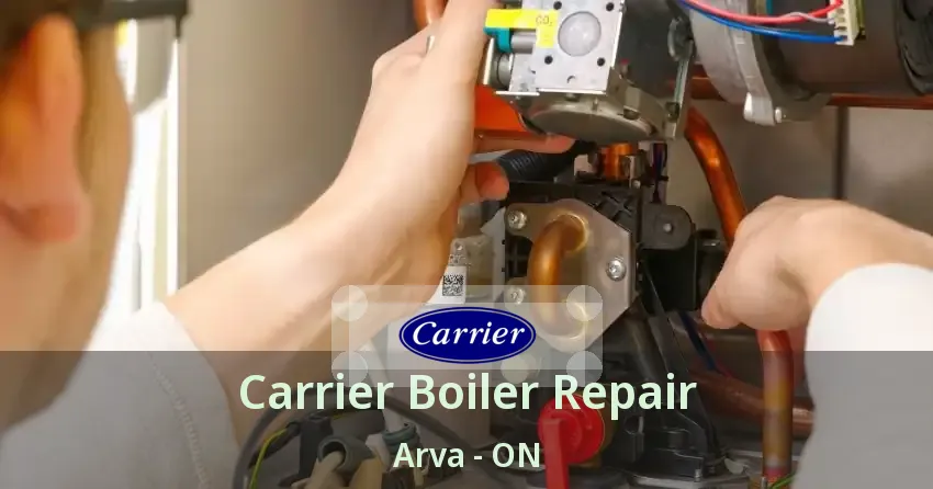 Carrier Boiler Repair Arva - ON
