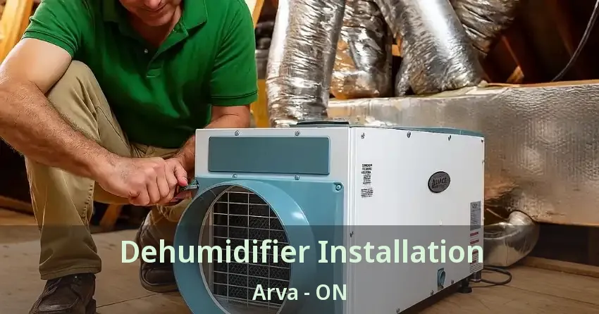 Dehumidifier Installation Arva - ON