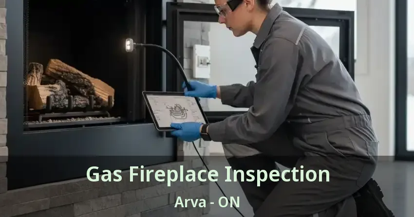 Gas Fireplace Inspection Arva - ON