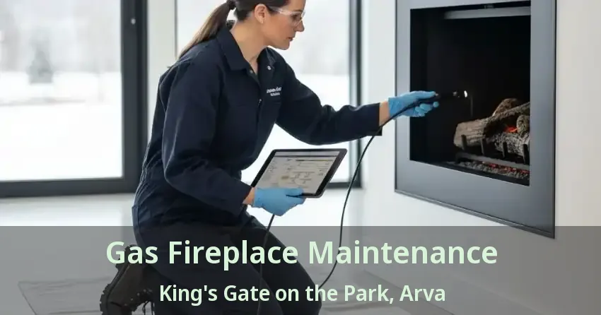Gas Fireplace Maintenance King's Gate on the Park, Arva - ON