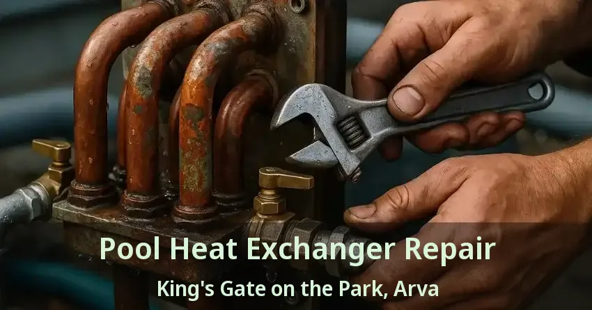 Pool Heat Exchanger Repair King's Gate on the Park, Arva - ON