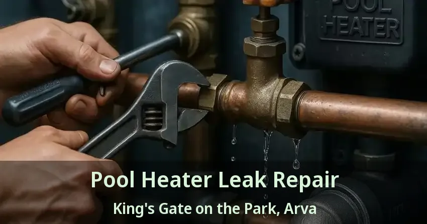 Pool Heater Leak Repair King's Gate on the Park, Arva - ON