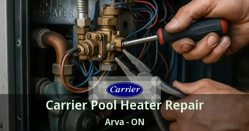 Carrier Pool Heater Repair Arva - ON